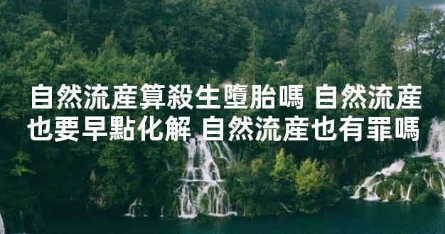 自然流産算殺生墮胎嗎 自然流産也要早點化解 自然流産也有罪嗎